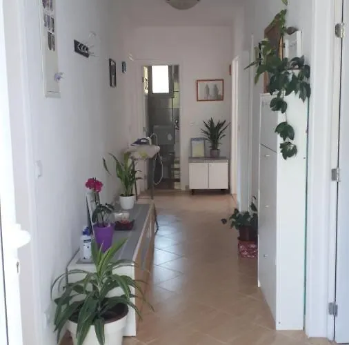 P&m Макарська